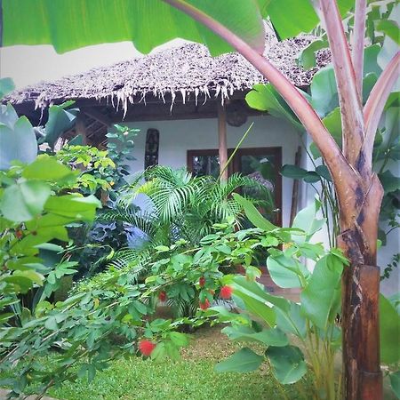 Valerie Lodge San Vicente  Bagian luar foto
